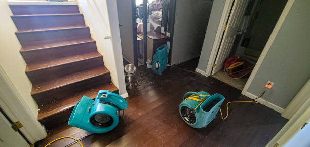 Best Residential water damage restoration  in Payson, IL