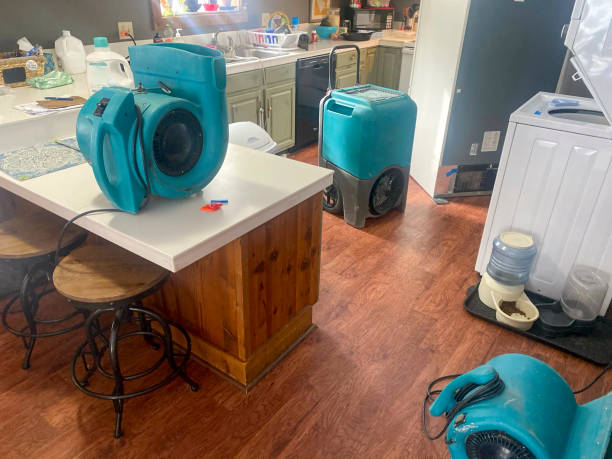 Best Water damage cleanup near me  in Payson, IL