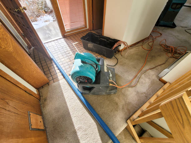  Payson, IL Water damage restoration Pros