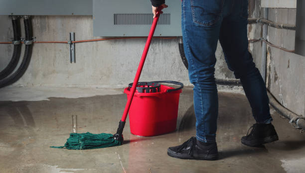 Best Water damage restoration company  in Payson, IL