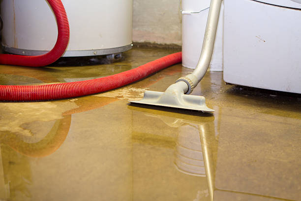 Best Professional water damage repair  in Payson, IL