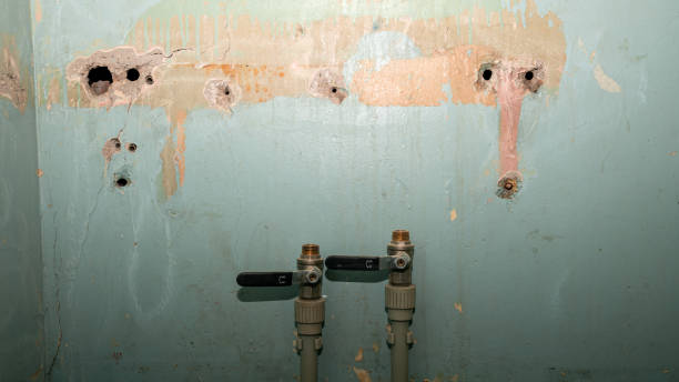 Best Water damage restoration cost  in Payson, IL