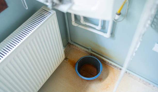 Best Local water damage restoration  in Payson, IL