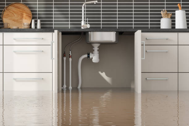 Best 24-hour water damage restoration  in Payson, IL