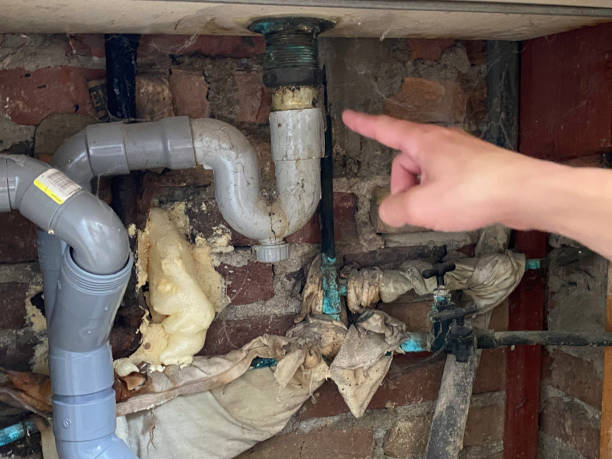 Best Emergency water damage restoration  in Payson, IL