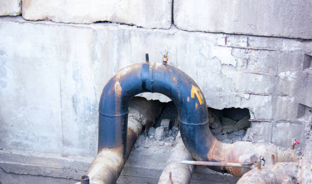 Best Flood damage cleanup  in Payson, IL