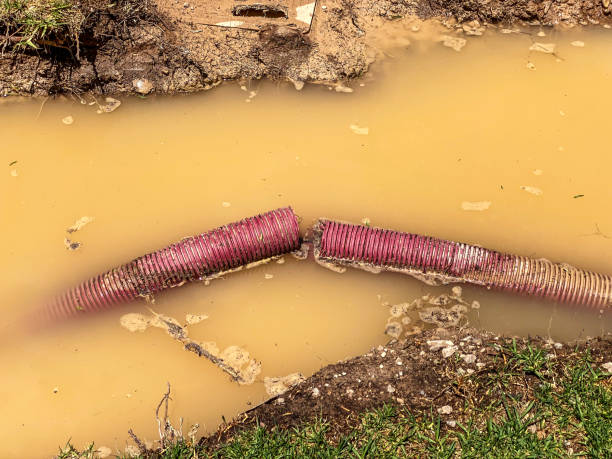 Trusted Payson, IL Water damage restoration Experts