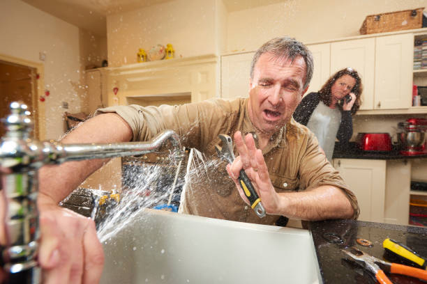 Best Water damage contractors near me  in Payson, IL
